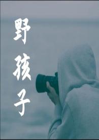 野孩子 歌词