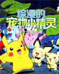 宠物小精灵之漫幻