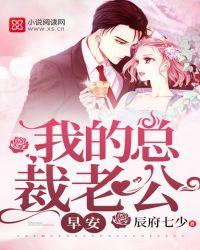 早安总裁老公大人