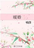 暖婚100天完整版免费阅读