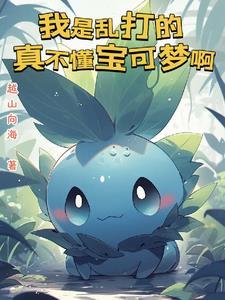 播放宝可梦旅途