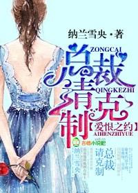爱恨之约总裁请克制类似