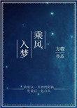 乘风入梦txt