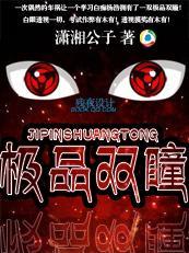 极品双瞳全文阅读