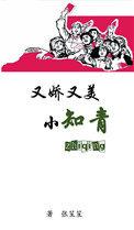 又娇又美小知青 张笙笙