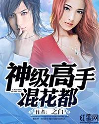 神级高手混花都 之白txt