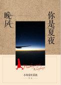 你是夏夜晚风免费阅读