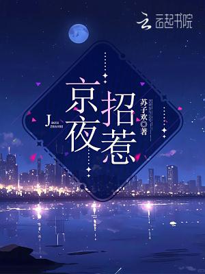 京夜招惹沈如清更新时间