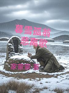 暮雪赏析