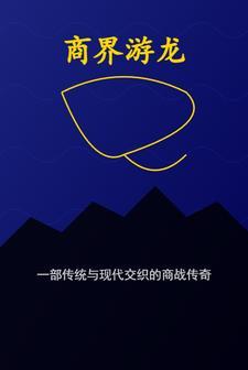游龙有限公司