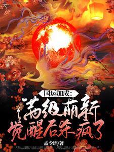 国运无弹窗免费全文阅读