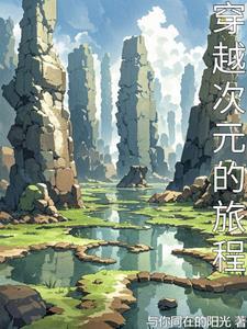 穿越次元的旅程百度