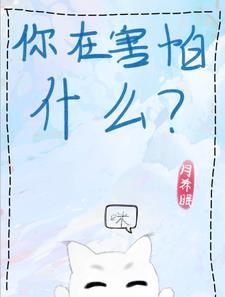 帮我看小猫