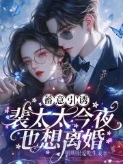 裴太太今夜也想离婚免费阅读