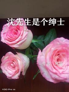 沈先生是什么人
