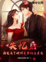 失忆了我成了豪门贵妇