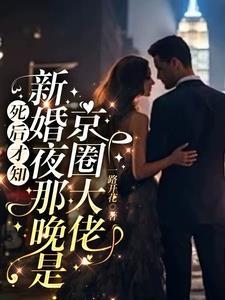死后才知新婚夜那晚是京圈大佬