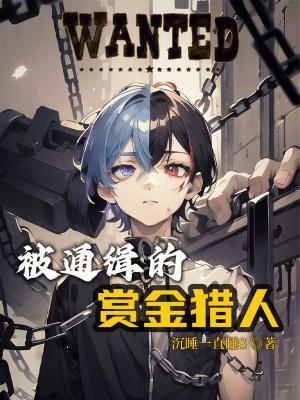 赏金猎人抓捕s68