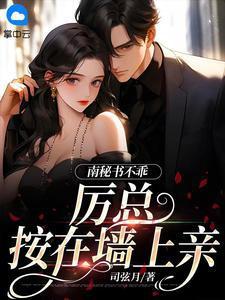 男主叫厉述南