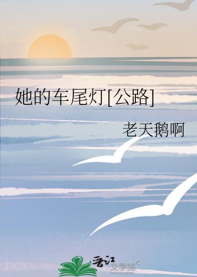 她的车尾灯无防盗