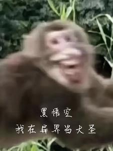 悟空穿越异界