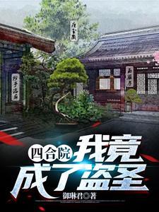 四合院盗圣什么意思