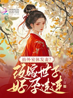 抬外室休发妻?改嫁世子好孕连连_(子芽)