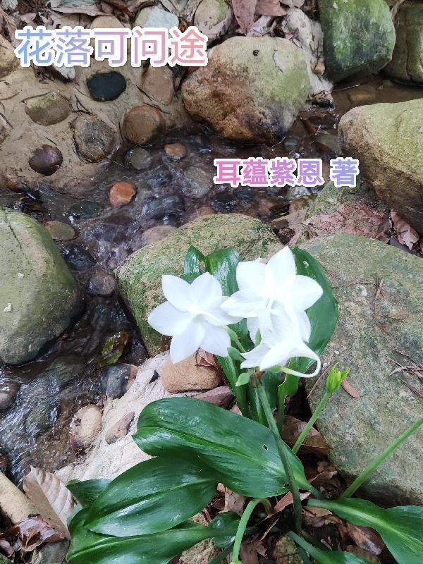 花落 意思