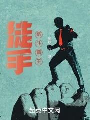 国外徒手格斗技术