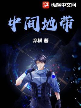 中间地带两部分