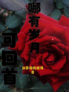 哪有岁月可回首是什么歌