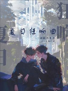 夏日狂想曲 介绍