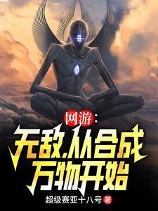 网游无敌流完本