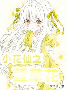 小花仙萱草花图片