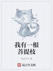 我可以点化万物txt