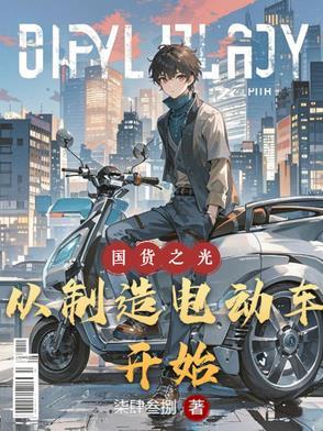 国产电动车如何破局