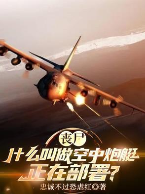 空中炮艇表情包