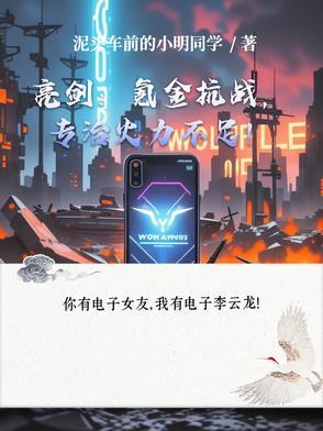 亮剑攻略