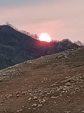 村之恋最经典十首词