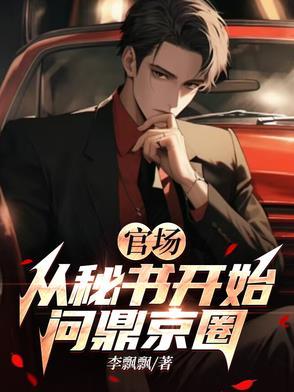 官场密闻