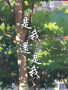 是我还是我是什么歌