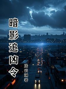 电视连续剧暗影追凶