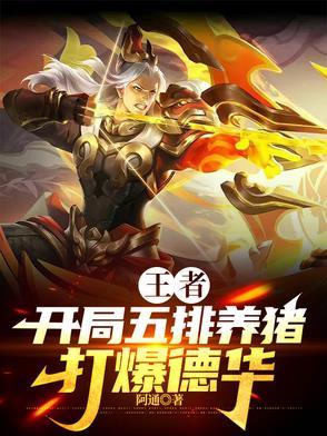 王者荣耀你的英雄